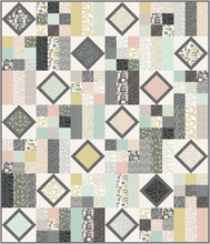 Load image into Gallery viewer, PDF Freeze Frame