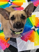 Load image into Gallery viewer, ColourTwist
